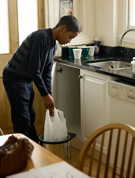 Attic Cleanout Services in Walnut, CA